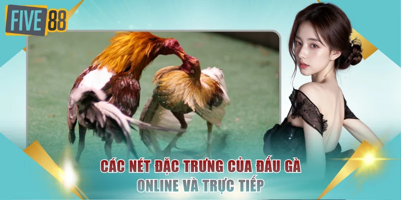 Đá Gà Thomo Xem Live Hôm Nay Nhận Thưởng Ngay Tại FIVE88 4 Các nét đặc trưng của đấu gà online và trực tiếp