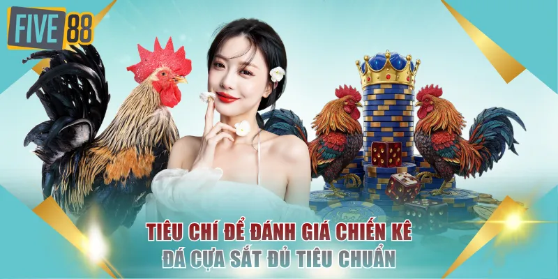 Các tiêu chí để đánh giá chiến kê đá cựa sắt đủ tiêu chuẩn