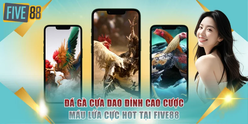 Đá gà cựa dao