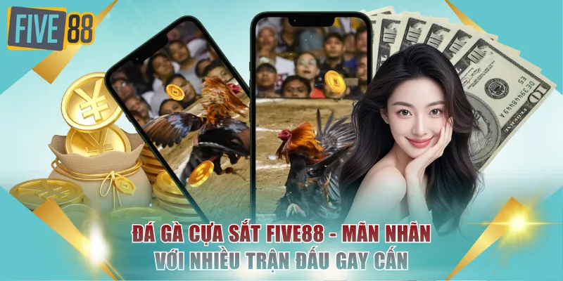 Đá gà cựa sắt