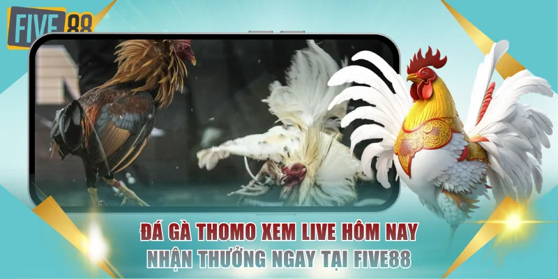Đá gà Thomo