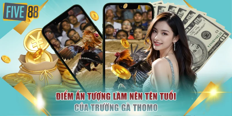 Trường Gà Thomo - Đấu Trường Chọi Kê Nổi Tiếng Tại Châu Á 4 Điểm ấn tượng làm nên tên tuổi của trường gà Thomo
