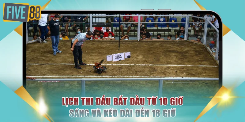 Trường Gà Thomo - Đấu Trường Chọi Kê Nổi Tiếng Tại Châu Á 3 Lịch thi đấu bắt đầu từ 10 giờ sáng và kéo dài đến 18 giờ