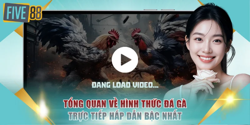 Tổng quan về hình thức đá gà trực tiếp hấp dẫn bậc nhất