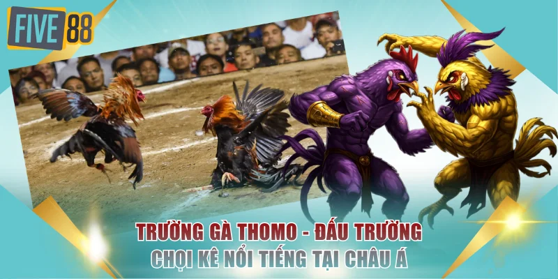 Trường gà Thomo