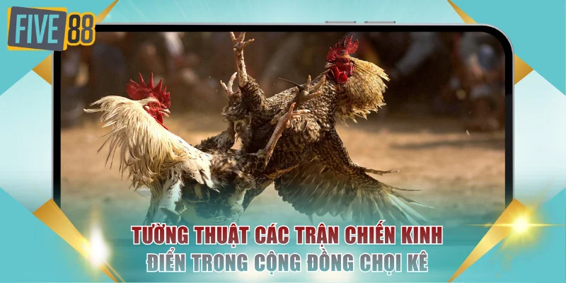 Tường thuật các trận chiến kinh điển trong cộng đồng chọi kê