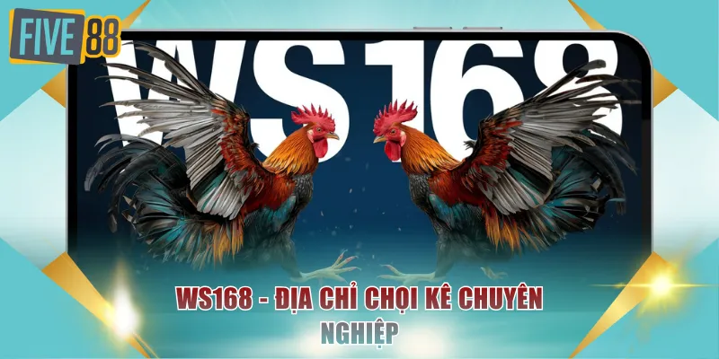 WS168 - Địa chỉ chọi kê chuyên nghiệp