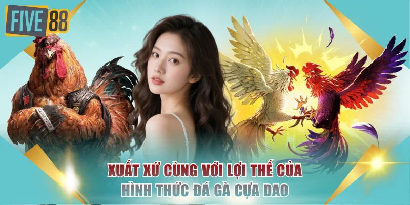 Đá Gà Cựa Dao Đỉnh Cao Cược Máu Lửa Cực Hot Tại FIVE88 2 Xuất xứ cùng với lợi thế của hình thức đá gà cựa dao